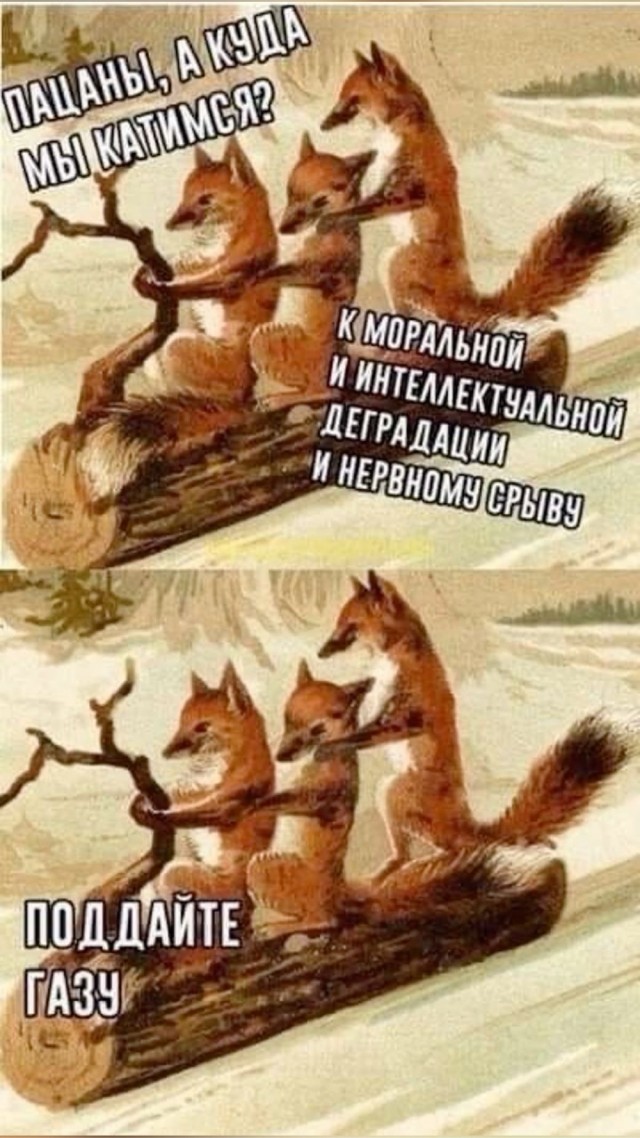 Картинки для деградации 303 (разной степени свежести)