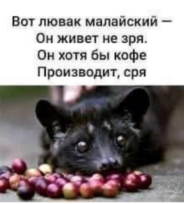 Картинки из закромов памяти