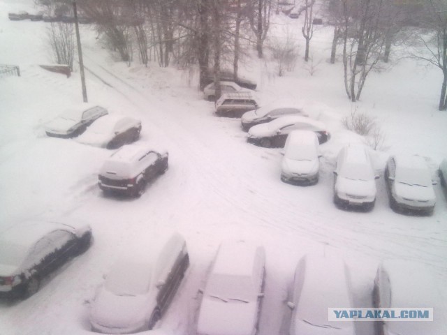 Весна?