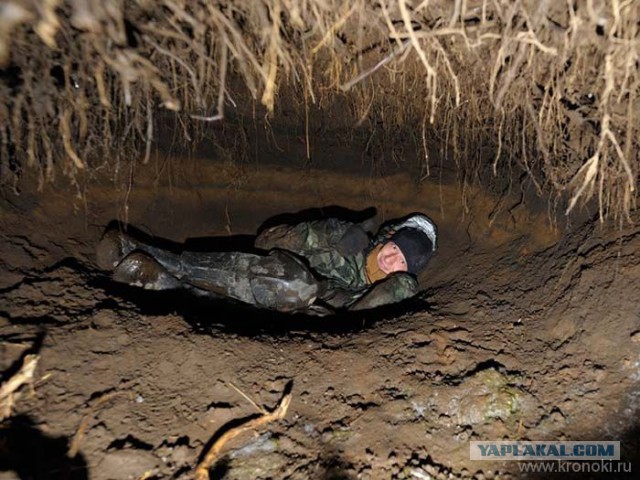 Подозрения подтвердились - у жены завелся любовник