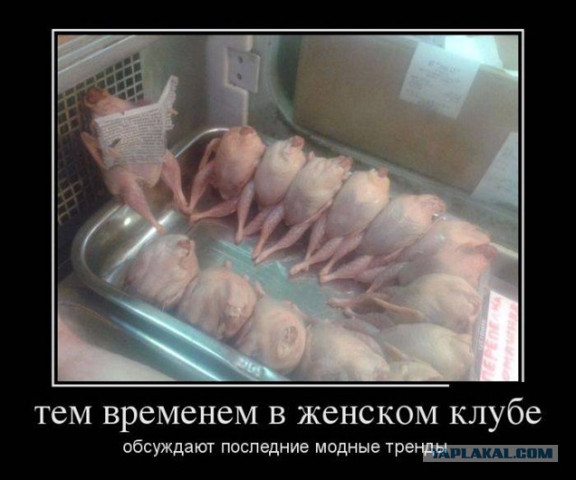 Весёлости в картинках