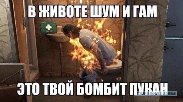 Убийство белого медведя