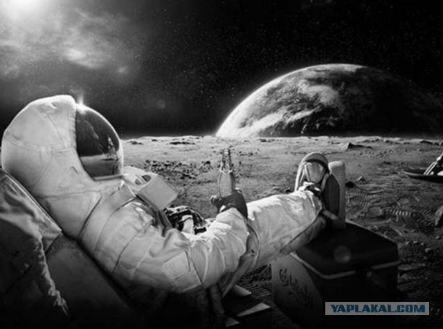 Инопланетные яблони