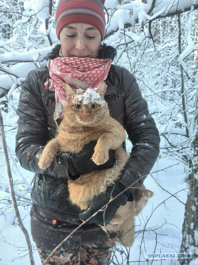"Не убегай, нам нужно серьёзно поговорить"