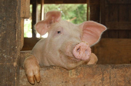 Не надо наглеть