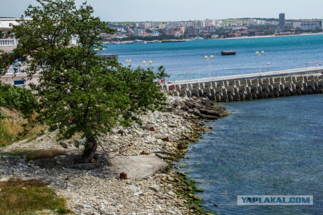 Вечерний Геленджик