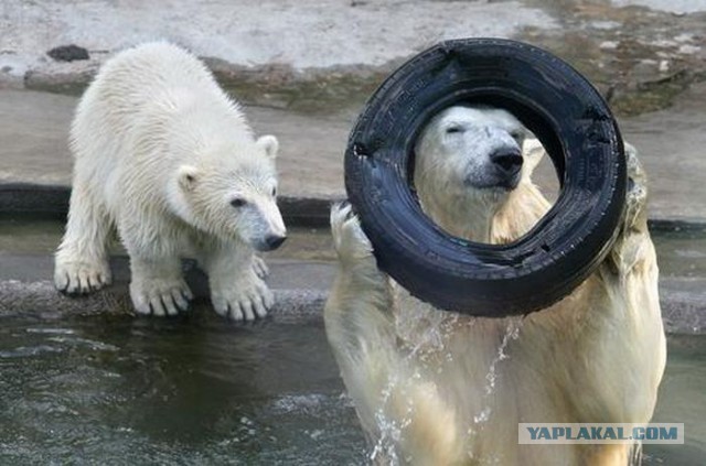 Картинки на пятницу