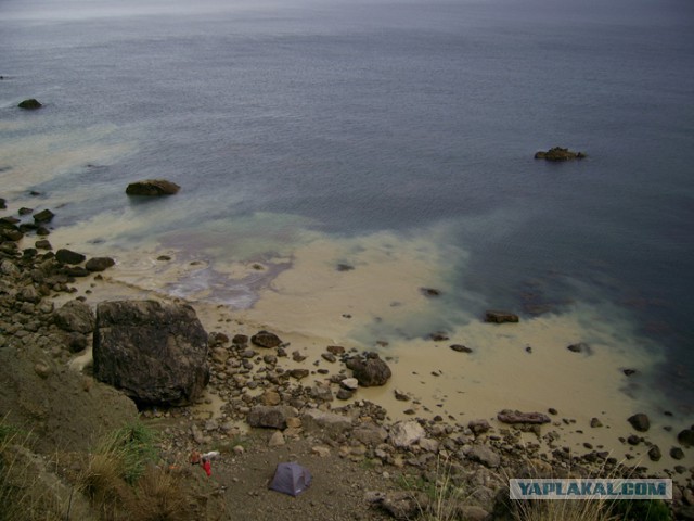 В Крыму Черное море стало желтым