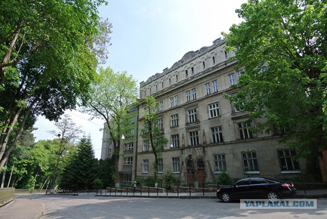 Украина, Донбасс, Крым. Я узнал правду