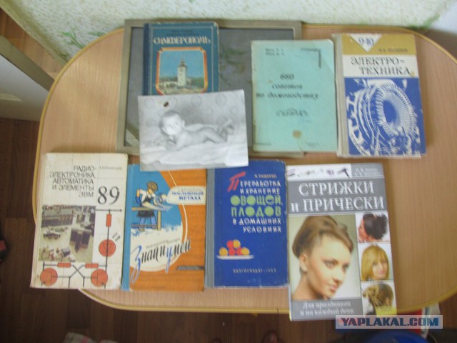 Моя жена - засранка, что делать?