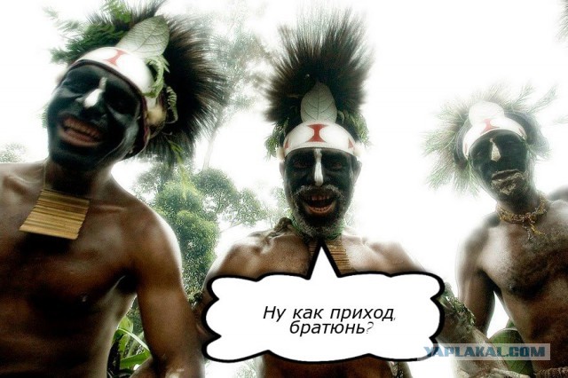 А вы хотели бы пожить с ними?