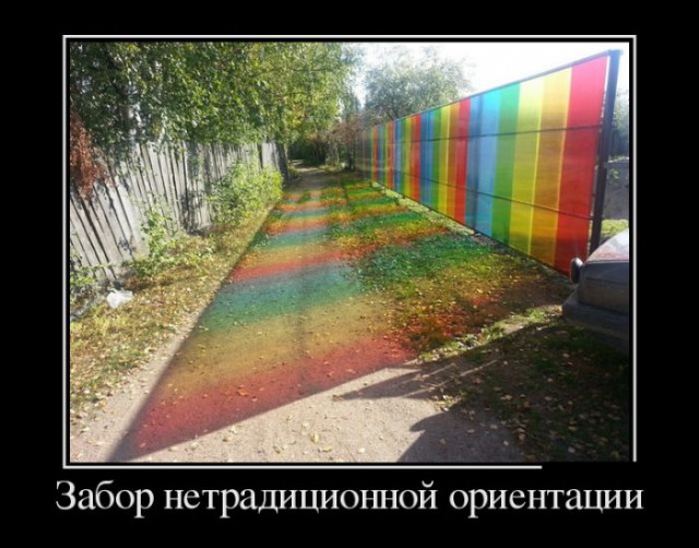 Картинки и гифки, дабы отвлечься