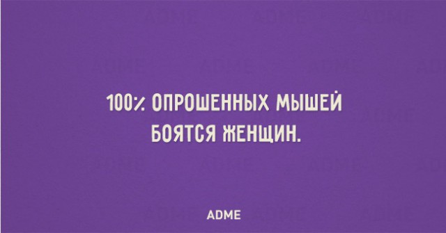 Всё в точку...