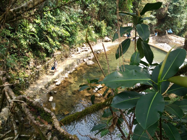 К живым мостам и обратно. Заметки из Индии