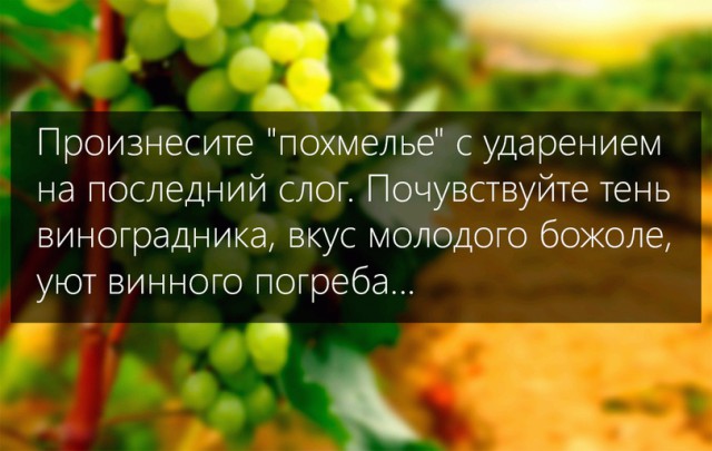 Немного алкоюмора