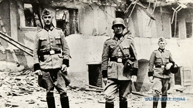 Чтобы вы не забыли, что такое фашизм