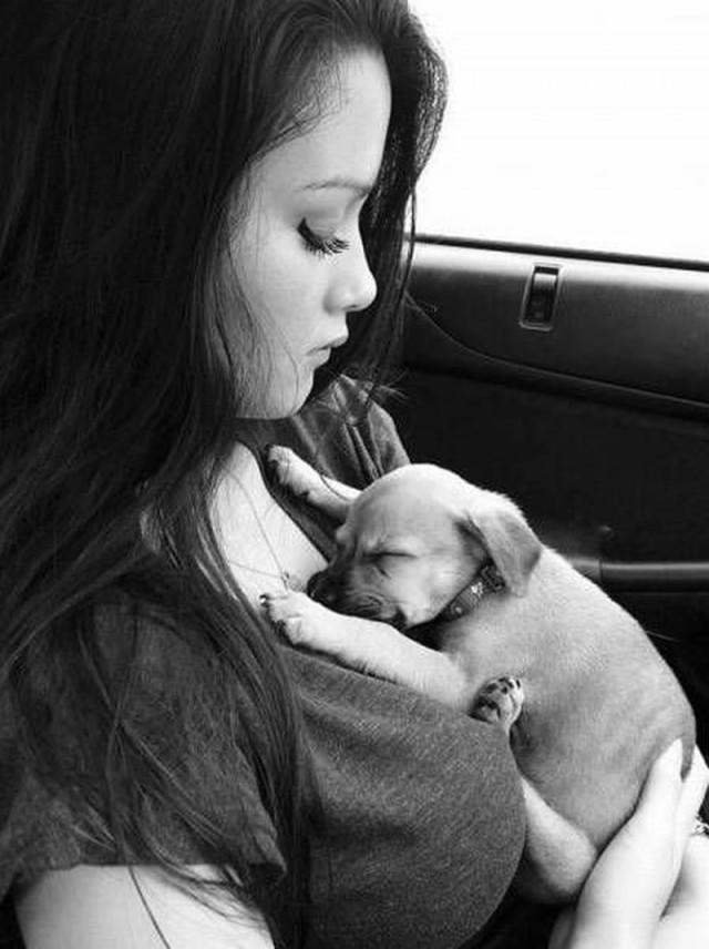 Картинки по-приколу