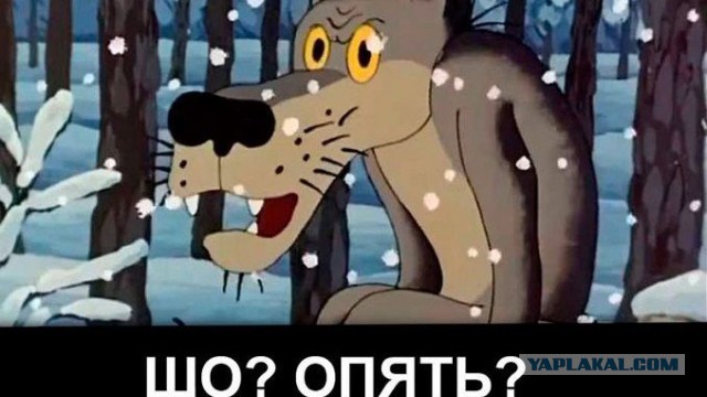 Война Константинополя с РПЦ может привести к пролитию крови