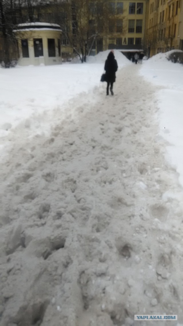 Петербург, центр города, XXI век