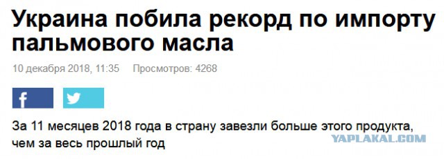 Россия впервые ввезла больше миллиона тонн пальмового масла