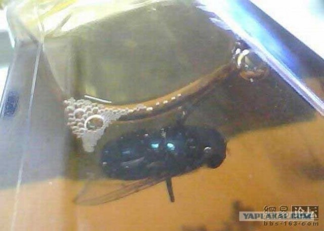 Китайский чай