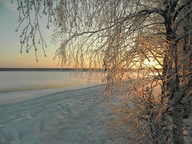 Красивая зимняя тайга