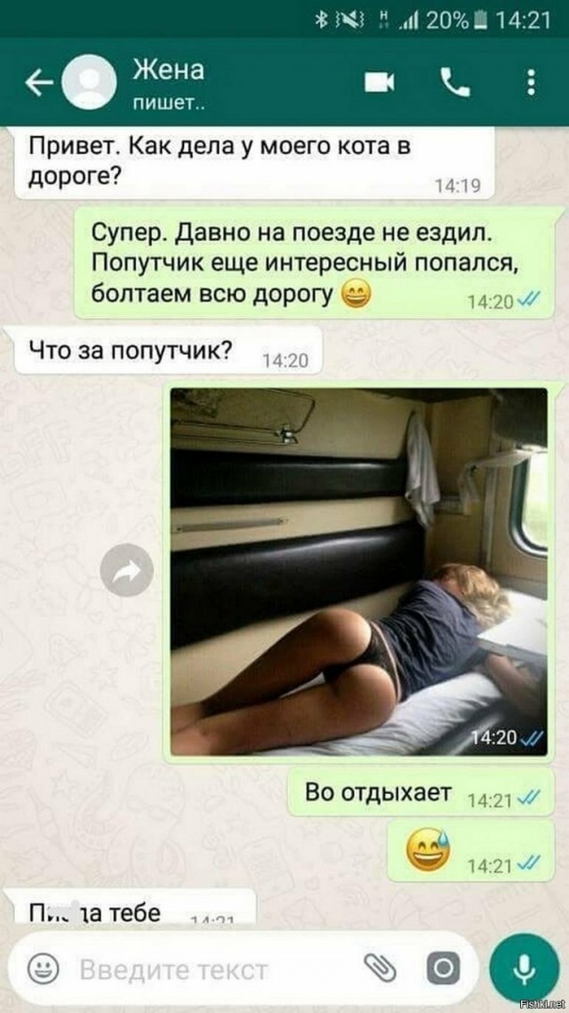 Свинегрет: картинки, надписи и прочее 03.02.20