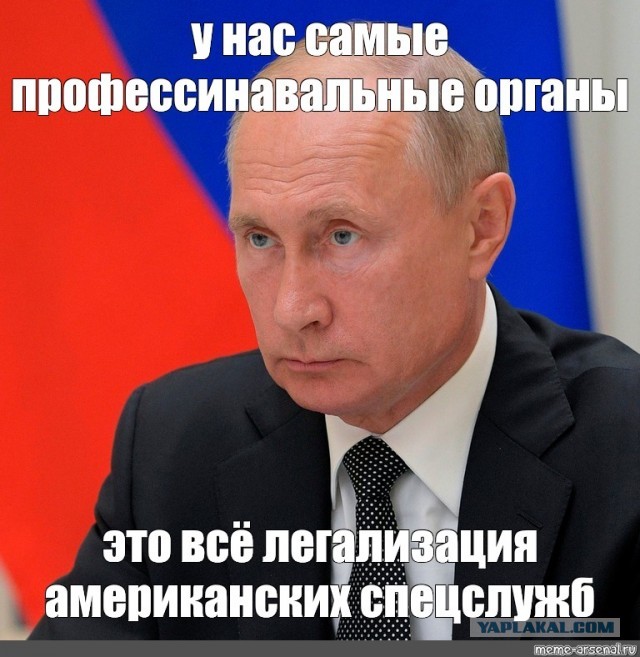 Следственный комитет попросил задержать 43 тысячи зрителей YouTube-трансляции.