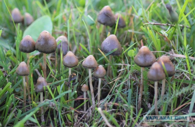 Как путешествовать во времени: все способы и парадоксы