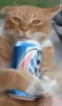 Коты под валерьянкой