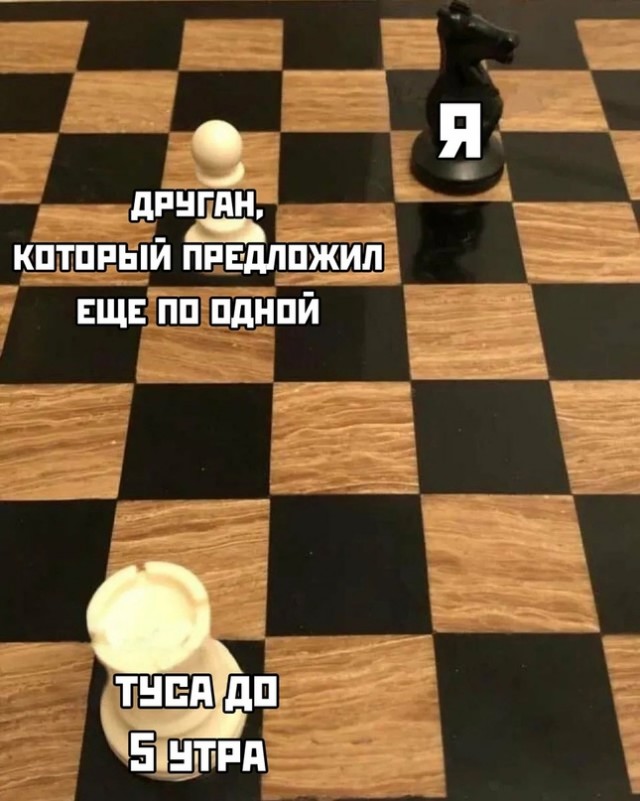 Весёлый полтишок 5.04