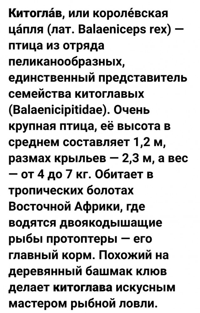 Морзянка