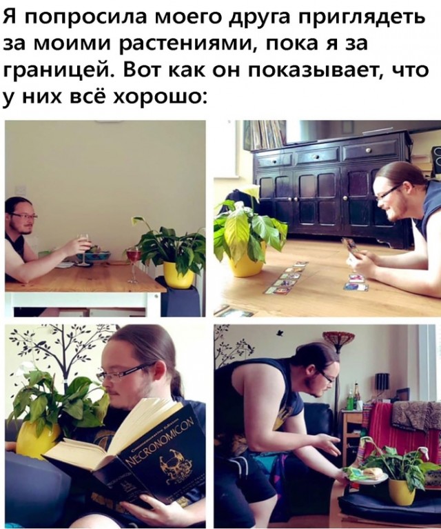 Картинки и мемы для настроения 006
