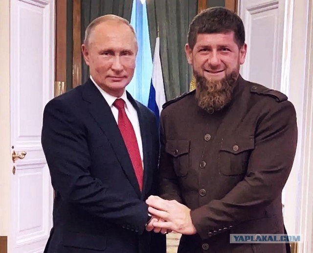 Быдлорама