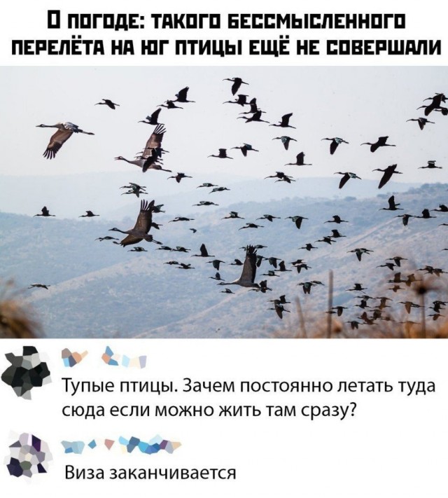 Так себе картинки 21.09.21