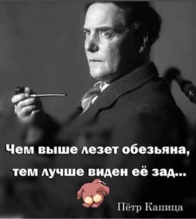 Картинки и мемы 08.10.2021