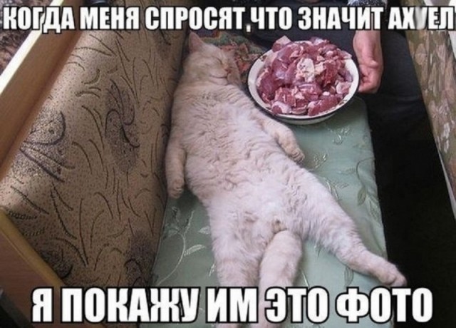 Картинки и мемы для настроения  - 31