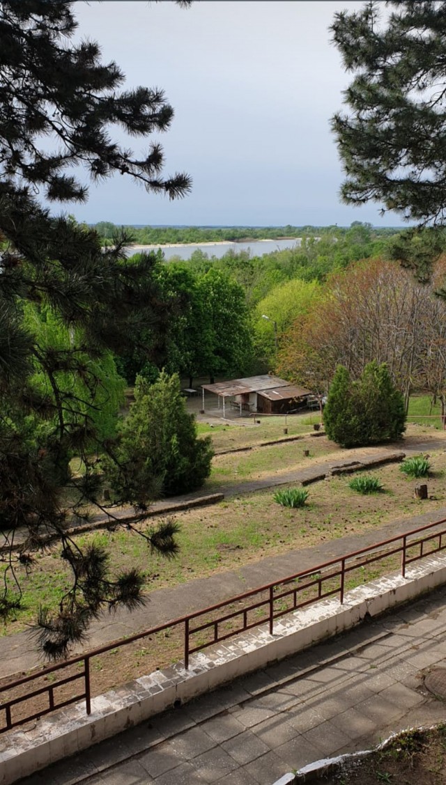 Пандемия. Коронавирус и съехавшие крыши. Россия и мир. Часть 33.