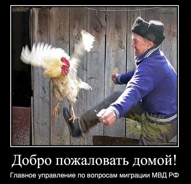"Орала и материлась": как оскандалившуюся Наргиз выгоняли из России