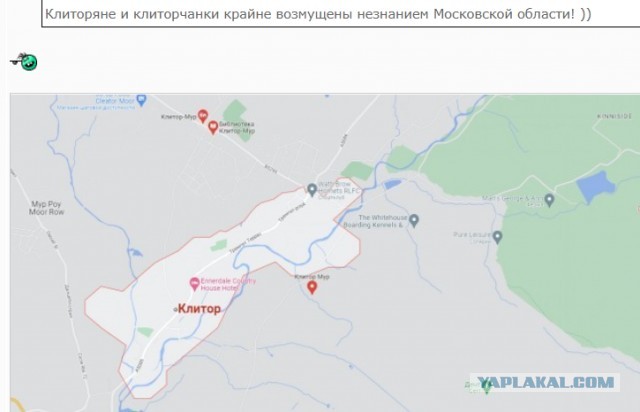 Скриншоты и комментарии из социальных сетей 3.08.22