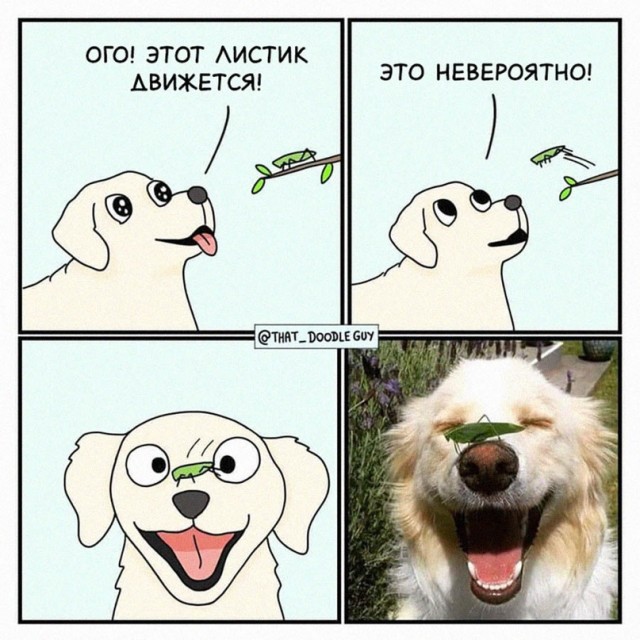 Картинки и мемы для настроения - 11