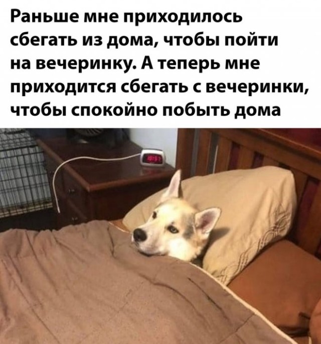 Немного картинок для настроения - 131