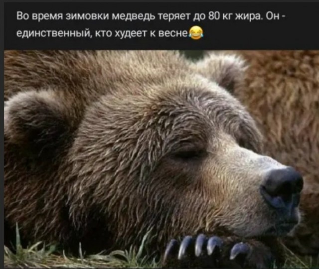 Народная меДИЧина 6008