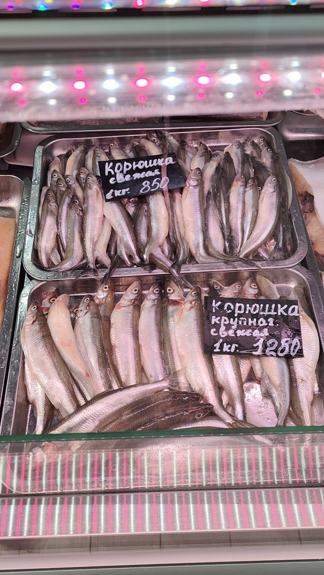 В Петербурге начали торговать «золотой» корюшкой
