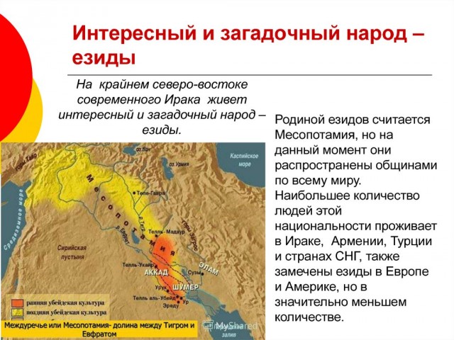 Продажа езидов на рынке рабов.