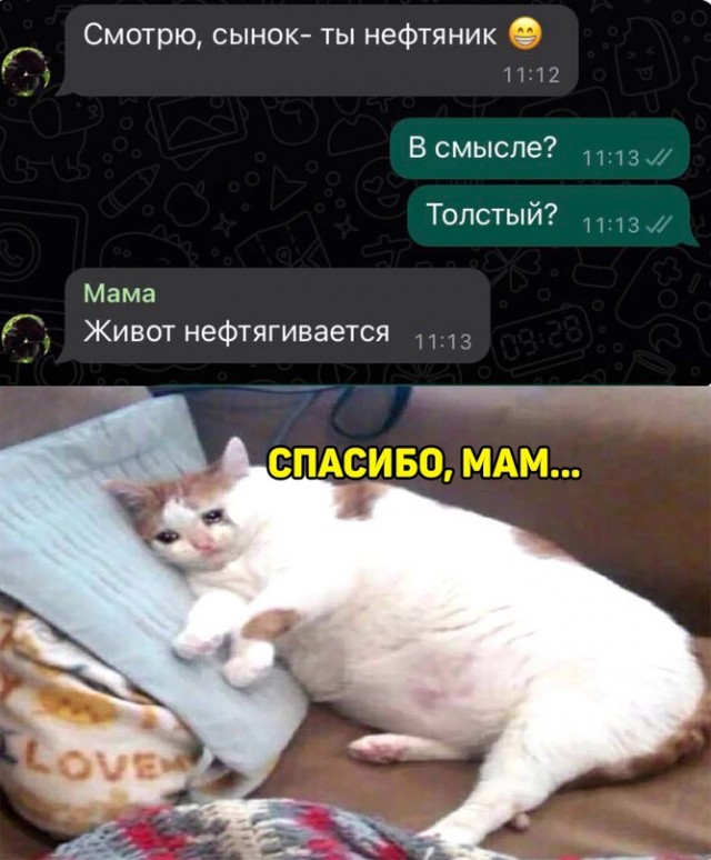Весёлый полтишок 04.08.23