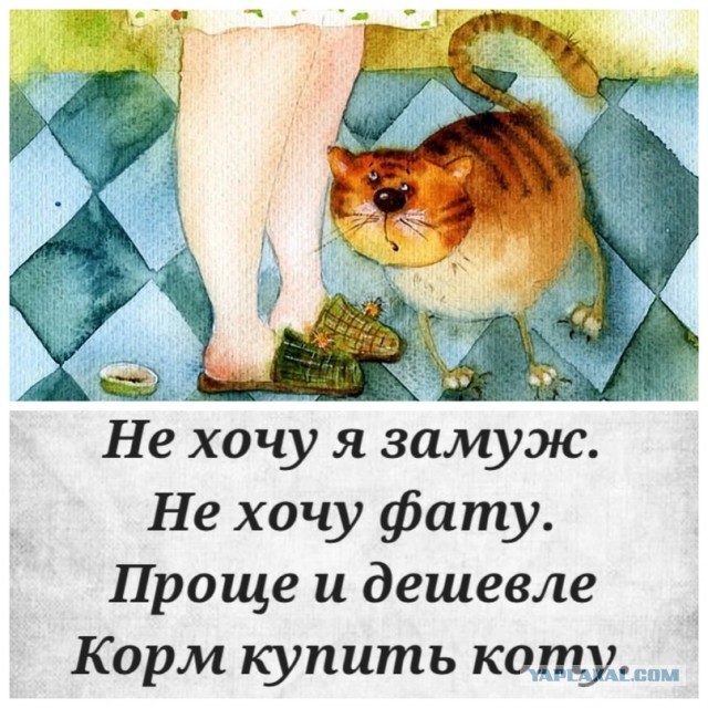 Хочешь узнать, как женщина занимается сексом? Посмотри на то, как она ест