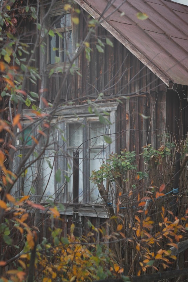 Осень в СНТ
