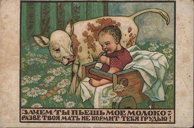 Школа джедаев. Начало