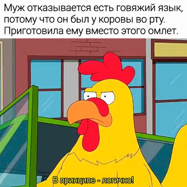 Весёлый полтишок 12.11.23